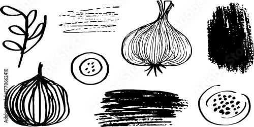 Minimalist abstract black and white garlic doodles set for artistic designs