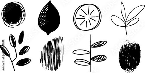 Minimalist abstract black and white leaf and lemon doodles for artistic design projects