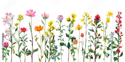 Charming collection of delicate wildflowers in vibrant colors creates a beautiful natural border or background design