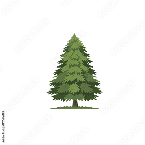 BALSAM tree vector , the balsam tree vector is very good and essential to the people.