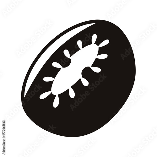 Abstract representation of a kiwi fruit slice with simplified details