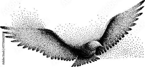 Black and white dotwork aurora in eagle outline for design