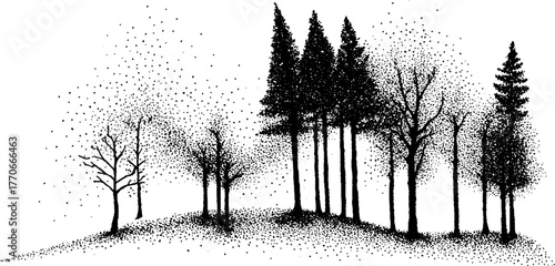 Enchanted forest landscape in black and white for nature design