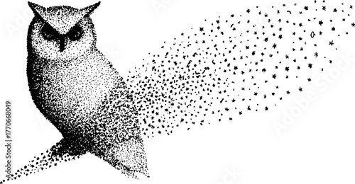 Celestial owl illustration with starry night effect in black and white design