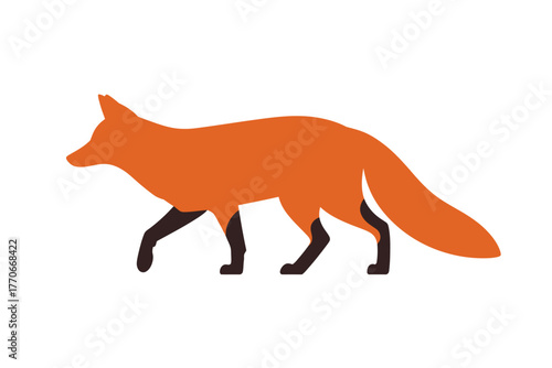 A stylized illustration of a red fox walking gracefully on a white background.