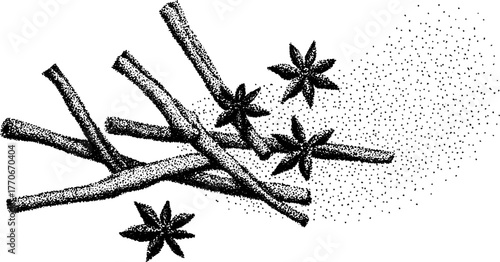 Black and white botanical illustration of cinnamon sticks and star anise – vintage spice art for culinary design
