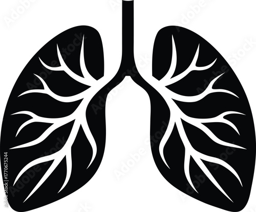 Internal organ lungs vector silhouette