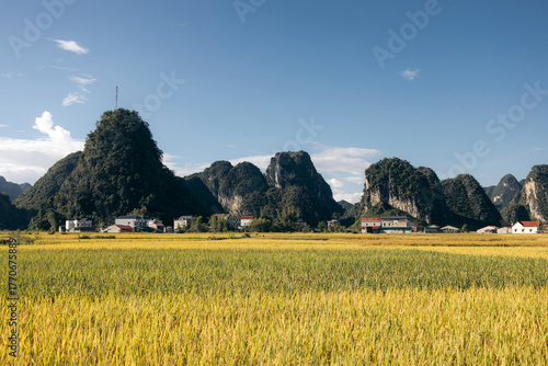 Lush rice fields with towering, rugged mountains under a clear blue sky Ngoc Con, Tr˘ng Kh·nh District, Cao Bang, Vietnam