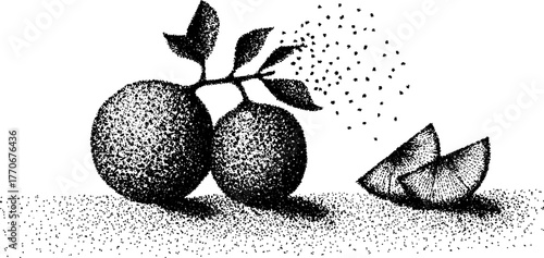 Vintage black and white illustration of sliced orange and clove