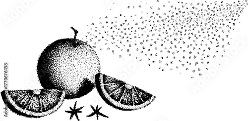 Black and white citrus composition with orange slices and cloves in halftone style