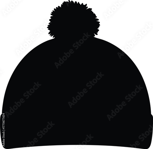 Winter beanie with pom pom design element