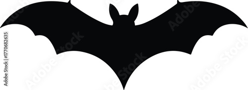 Black Bat Silhouette