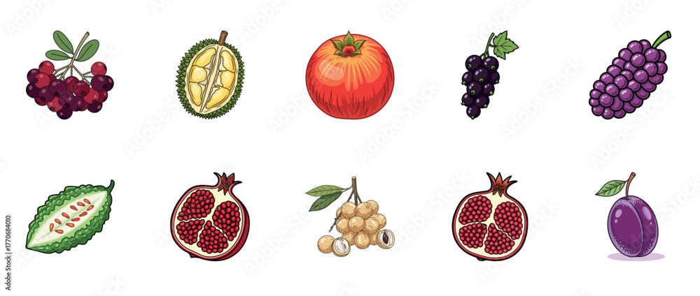 Fototapeta premium Collection of varied fruits: durian, pomegranate, grapes, bitter melon, longan, plum, cranberries