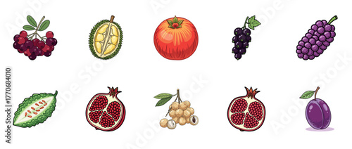 Collection of varied fruits: durian, pomegranate, grapes, bitter melon, longan, plum, cranberries