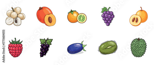 Illustrated variety of exotic and common fruits on white background