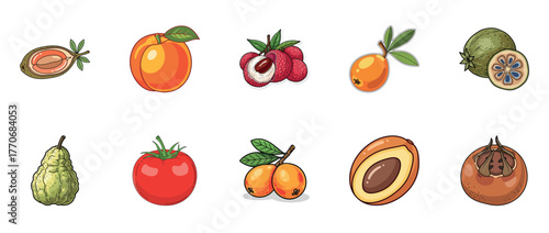 Colorful assortment of exotic and common fruits on white background