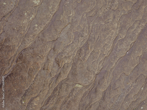 Patterns on a weathered stone paving on a National Park trail