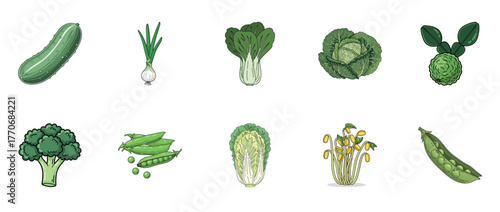 Set of fresh green vegetables: cucumber, broccoli, cabbage, and more