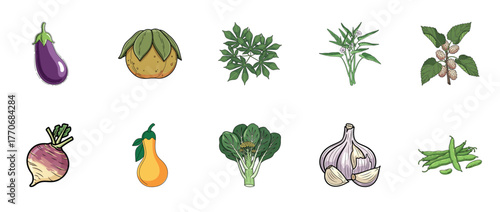 Colorful assortment of hand-drawn vegetables and fruits on white background