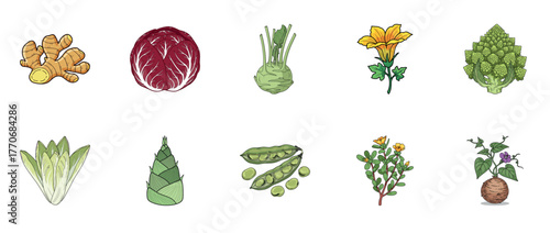 Collection of ten diverse vegetables and plants - ginger, radicchio, broccoli romanesco, edible flowers