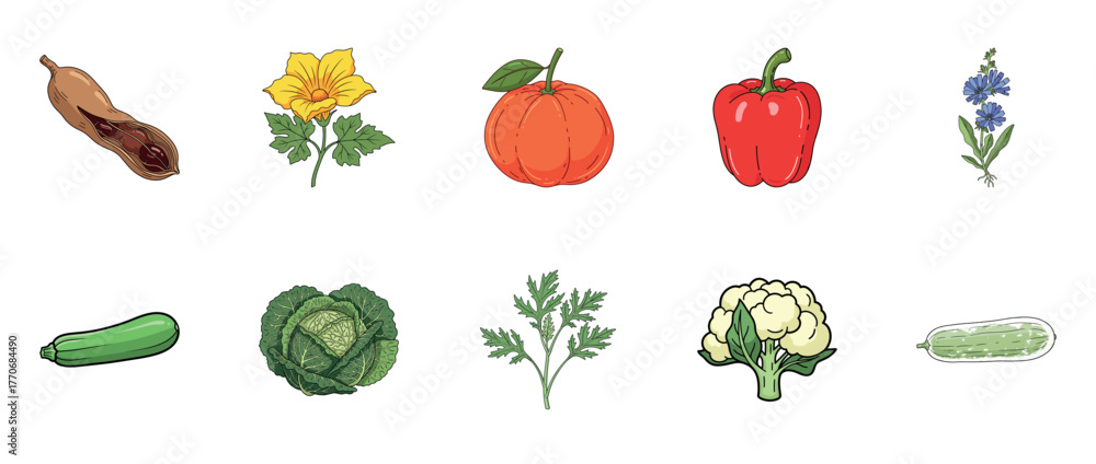 Fototapeta premium Colorful array of vegetables and flowers illustration