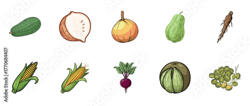 Hand-drawn variety of vegetables and fruits on white background