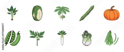 Colorful assortment of vegetables including pumpkin and tropical fruits