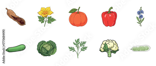 Colorful array of vegetables and flowers illustration