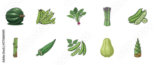 Collection of green vegetables: squash, peas, radish, asparagus, bamboo, and more