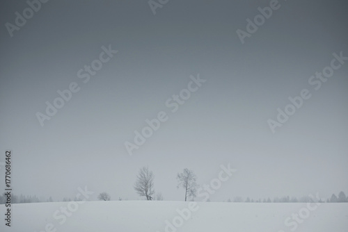 Foto Two lonely trees against a snowy field and a gray sky