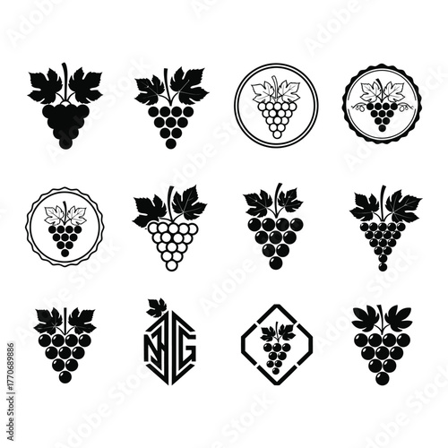 A collection of twelve stylized grape cluster icons, presented in various circular and geometric frames, showcasing different artistic interpretations of the fruit, isolated on white background