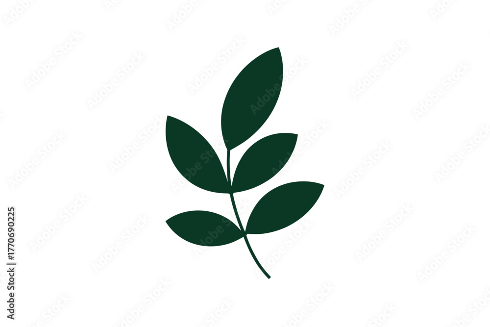 Fototapeta premium A simple dark green leaf stem with multiple leaves against a white background.