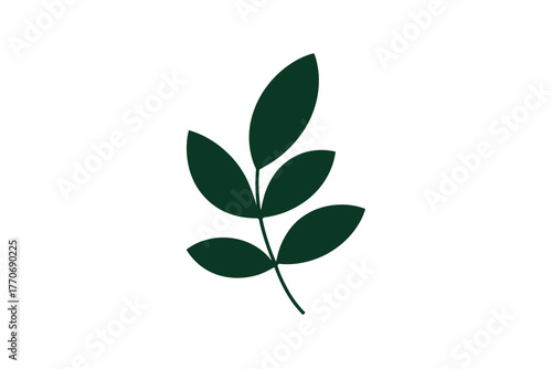 A simple dark green leaf stem with multiple leaves against a white background.