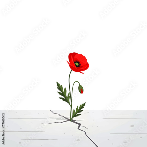 A vibrant red poppy flower pushing through a cracked concrete surface, symbolizing resilience.