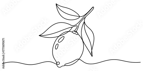 Elegant continuous line drawing of a lemon branch with leaves and a stem vector