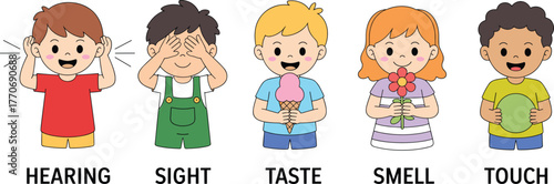 Cartoon children showing five senses, sight, hearing, taste, smell, touch, educational poster, sensory learning, kids activity, colorful illustration