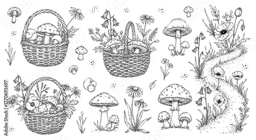 Forest Bounty Vector Illustration Mushroom Basketry Line Art