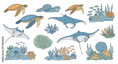 Ocean animal set sea turtles manta rays coral reef and fish underwater wildlife design