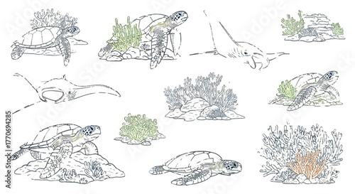 Aquatic life collection with sea turtles stingrays and coral reefs in ocean scenery