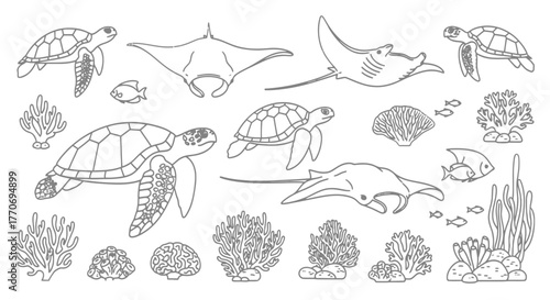 Outlines of Diverse Ocean Marine Life for Coloring Book Style Page Designs