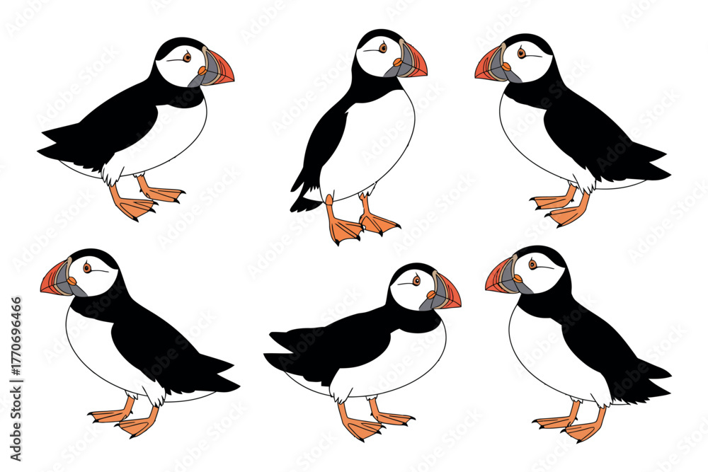 Obraz premium A group of six puffins stand in a line against a white background.