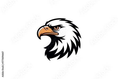 The fierce head of an eagle is depicted against a white background.