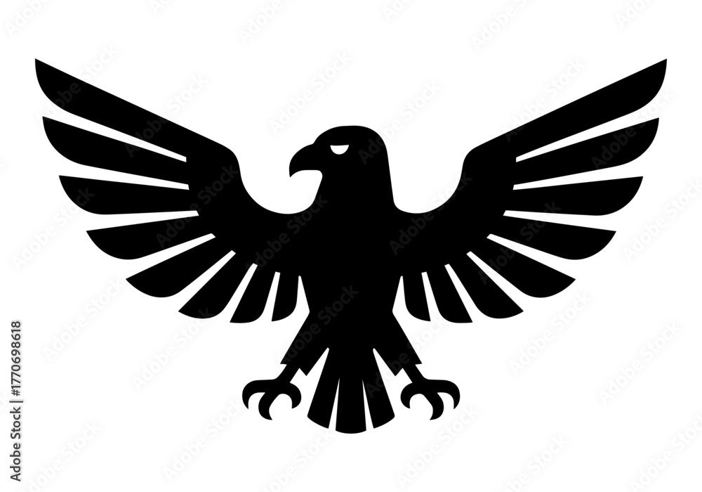 Obraz premium black eagle with spread wings