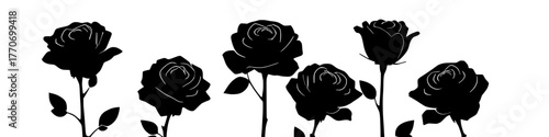 elegant arrangement of rose silhouettes on a white background