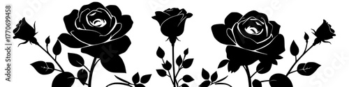 elegant black and white rose floral arrangement vector illustration