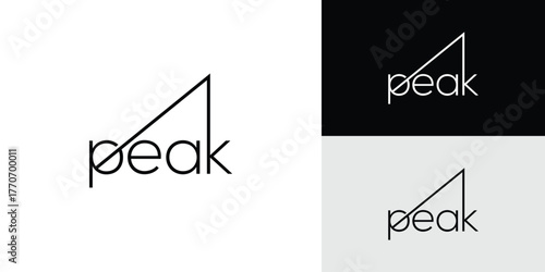 Unique and modern Peak logo design