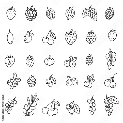 Vector illustration of various hand drawn berries including strawberries, raspberries and cherries. Perfect for food design, packaging and graphic design projects.
