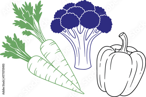 Colorful vector outline drawing of healthy raw vegetables assortment isolated