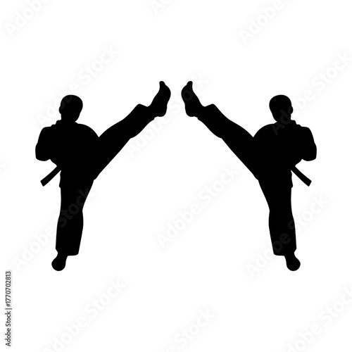 karate moves vector silhouette