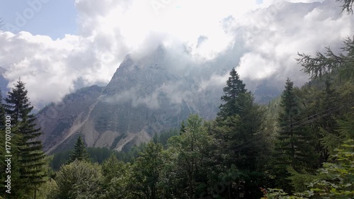 Panoramic view of green mountain landscape in the Julian Alps, Kranjska Gora, Slovenia.